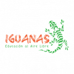 Icono 024 - Iguana