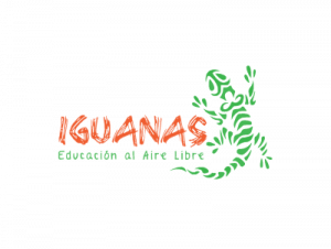 Icono 024 - Iguana